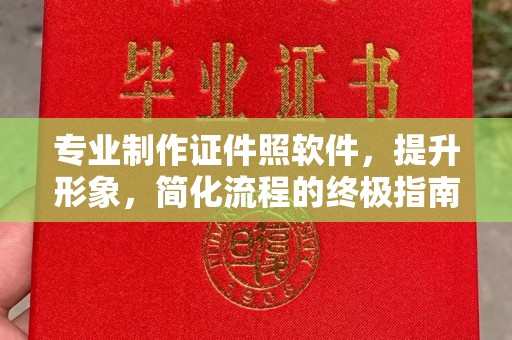 大悟专业制作证件照软件，提升形象，简化流程的终极指南
